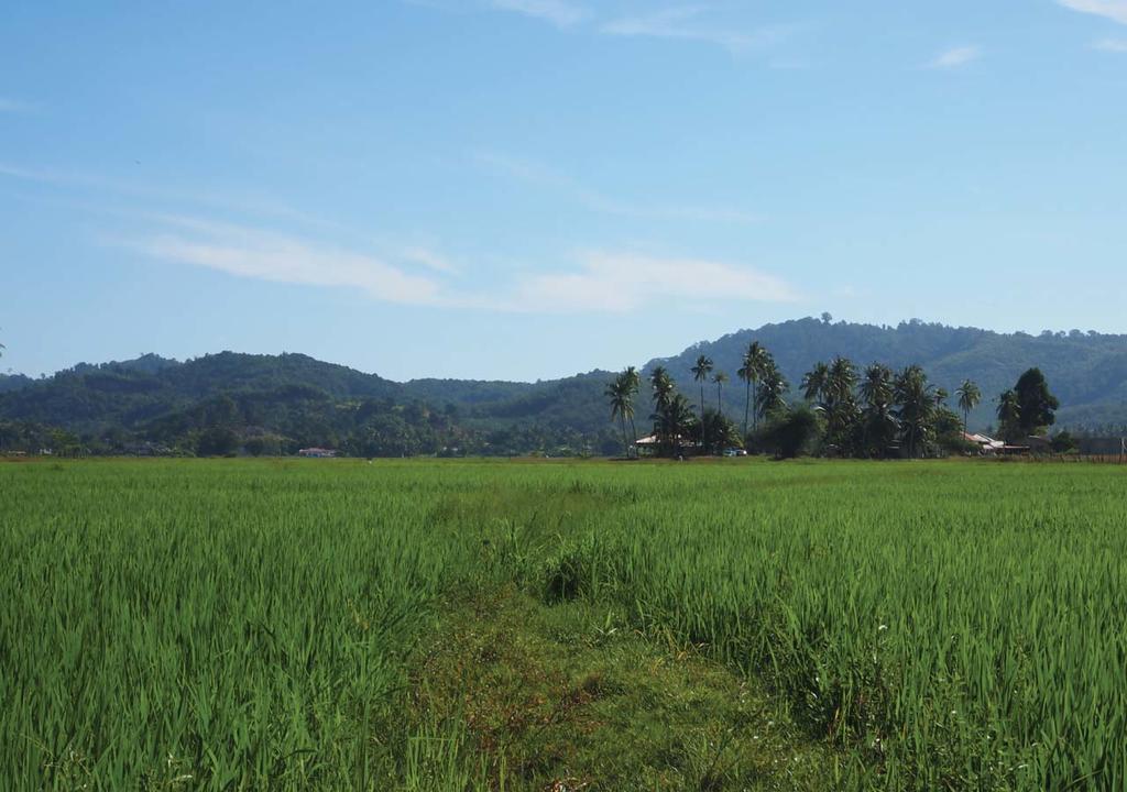 Panji Panji Tropical Wooden Home Pantai Cenang  Dış mekan fotoğraf