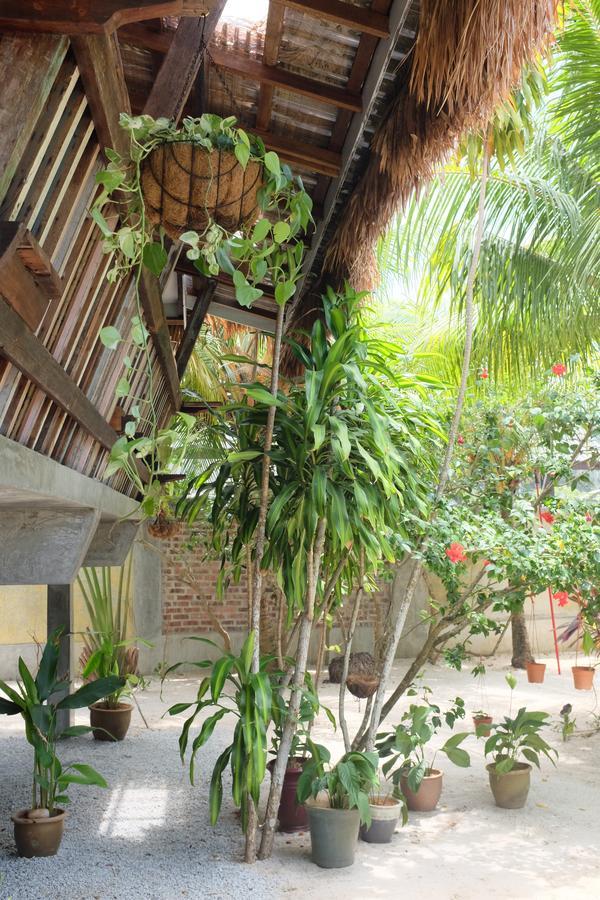 Panji Panji Tropical Wooden Home Pantai Cenang  Dış mekan fotoğraf