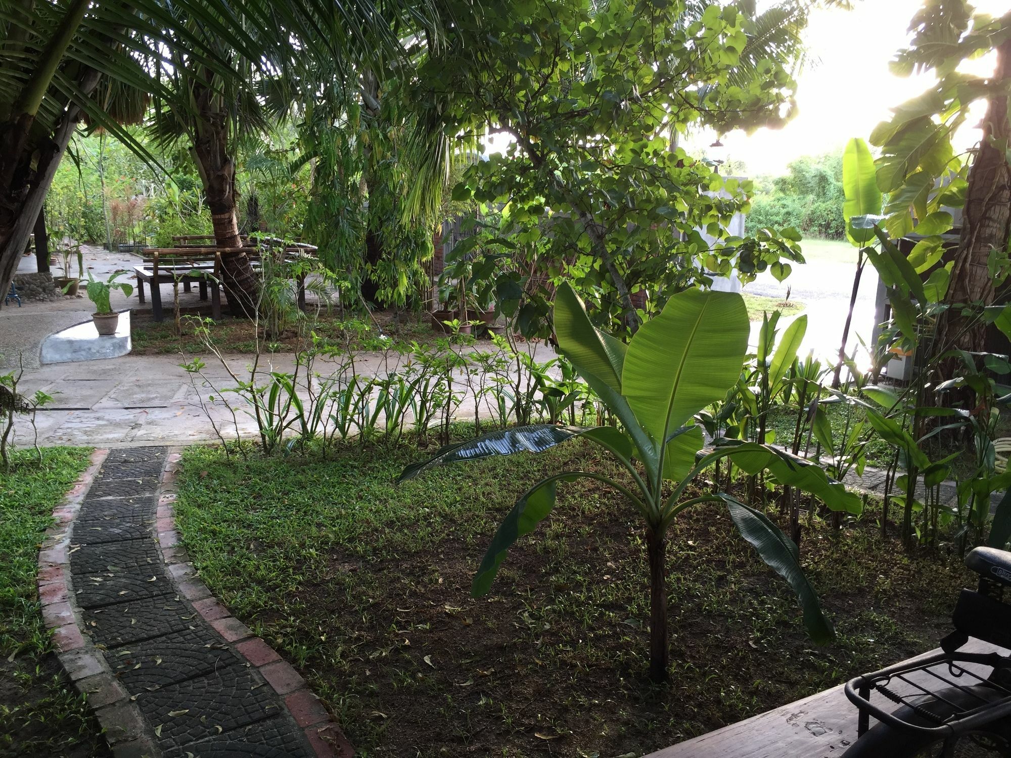Panji Panji Tropical Wooden Home Pantai Cenang  Dış mekan fotoğraf